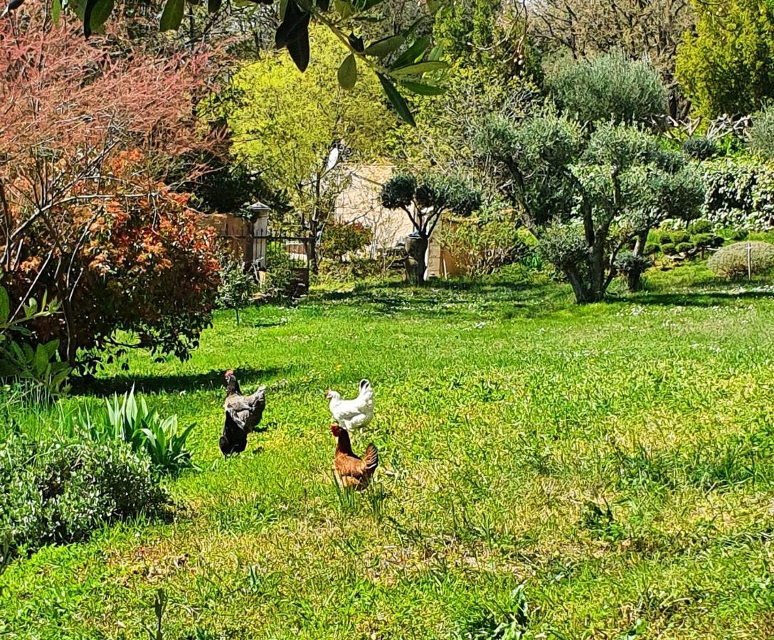 Montèze Paradis Saint-Christol-lès-Alès Extérieur photo